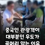 우도까지 진출한 짱개바퀴벌레, 제주도 점령