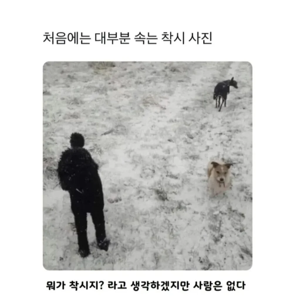 대부분 속는 착시 사진