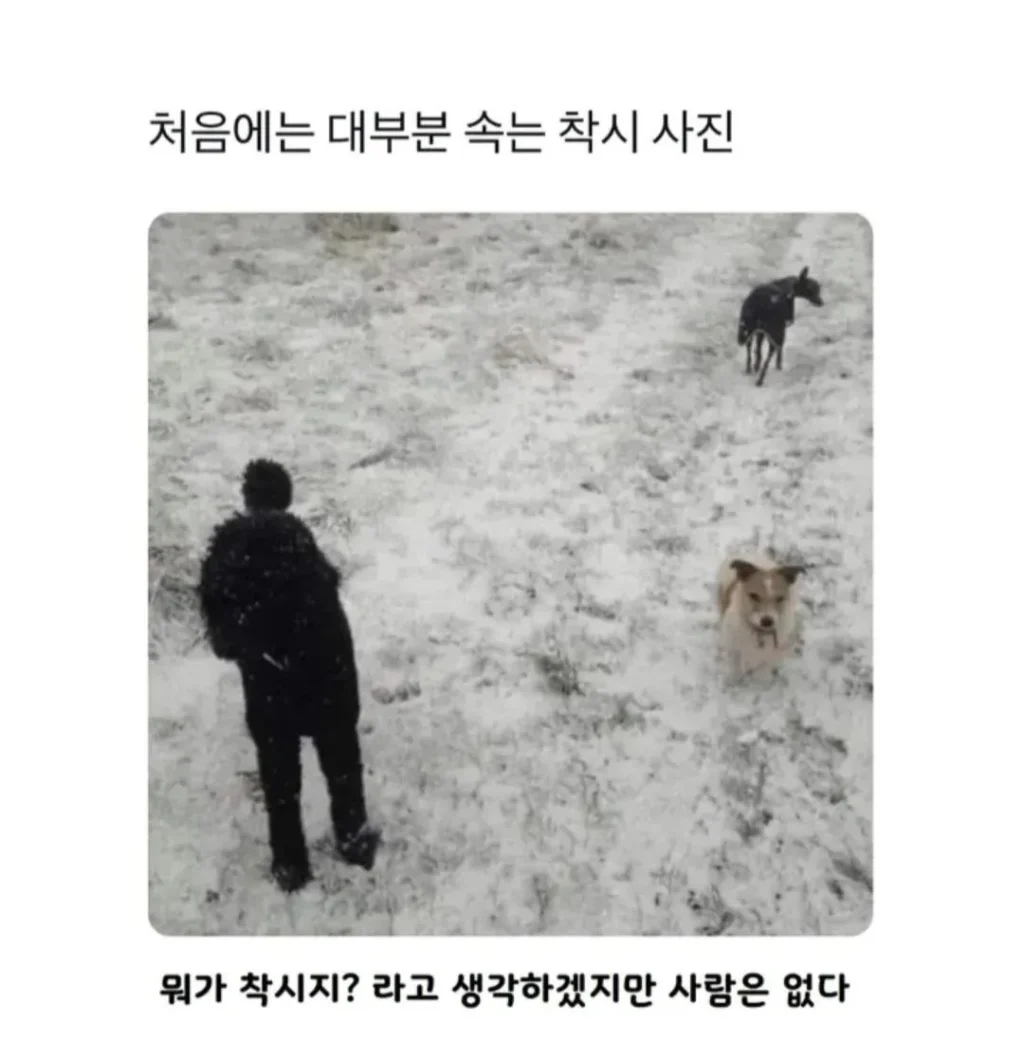 대부분 속는 착시 사진