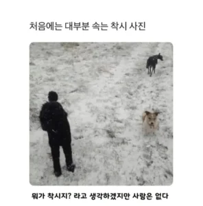 대부분 속는 착시 사진