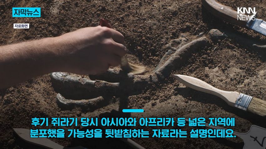 1억 년 전 초대형 공룡 뼈, 공사 현장에서 발견돼.