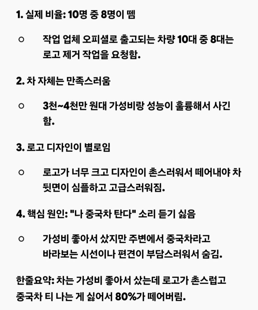 BYD 전기차 로고 제거 이유.jpg
