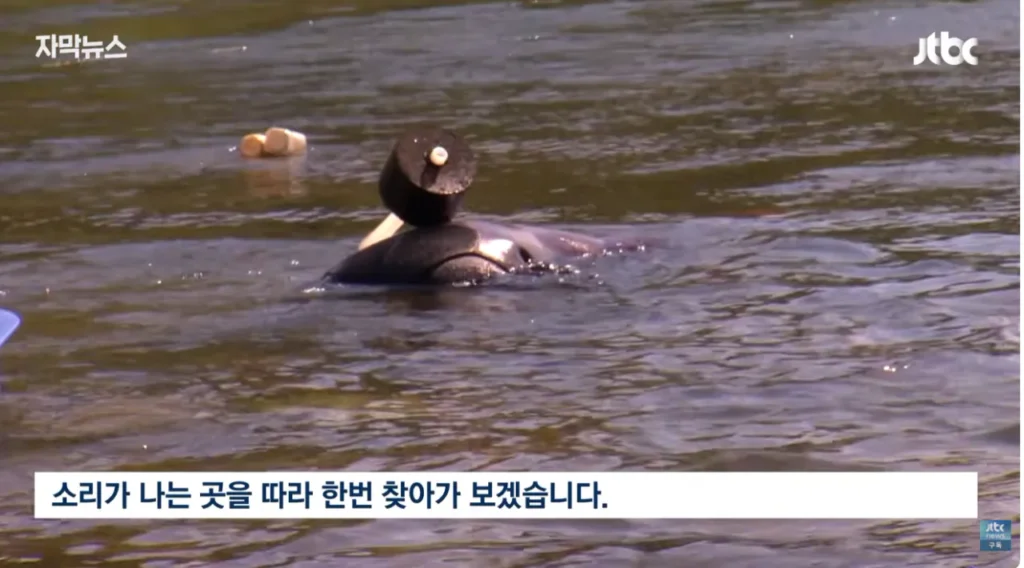 하천을 훼손하며 사금을 채취하는 사람들