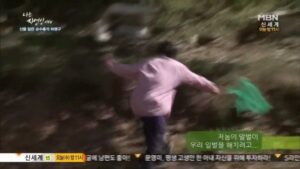 말벌 사냥하기