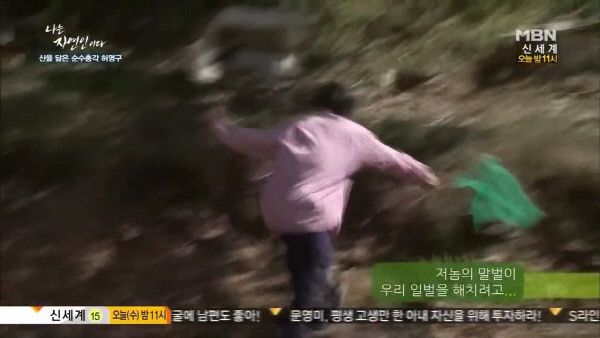 말벌 사냥하기