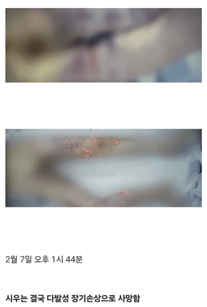 의자에 묶여 성경 필사 중 12세 아동 사망