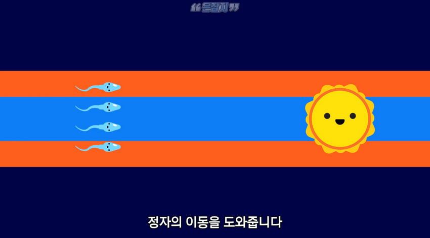 남자들은 잘 모르는 '냉'에 대하여