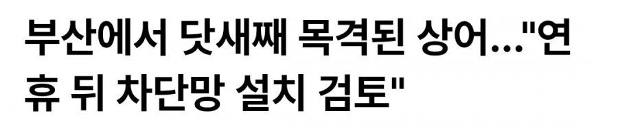 공무원이 굴러온 복을 대하는 태도