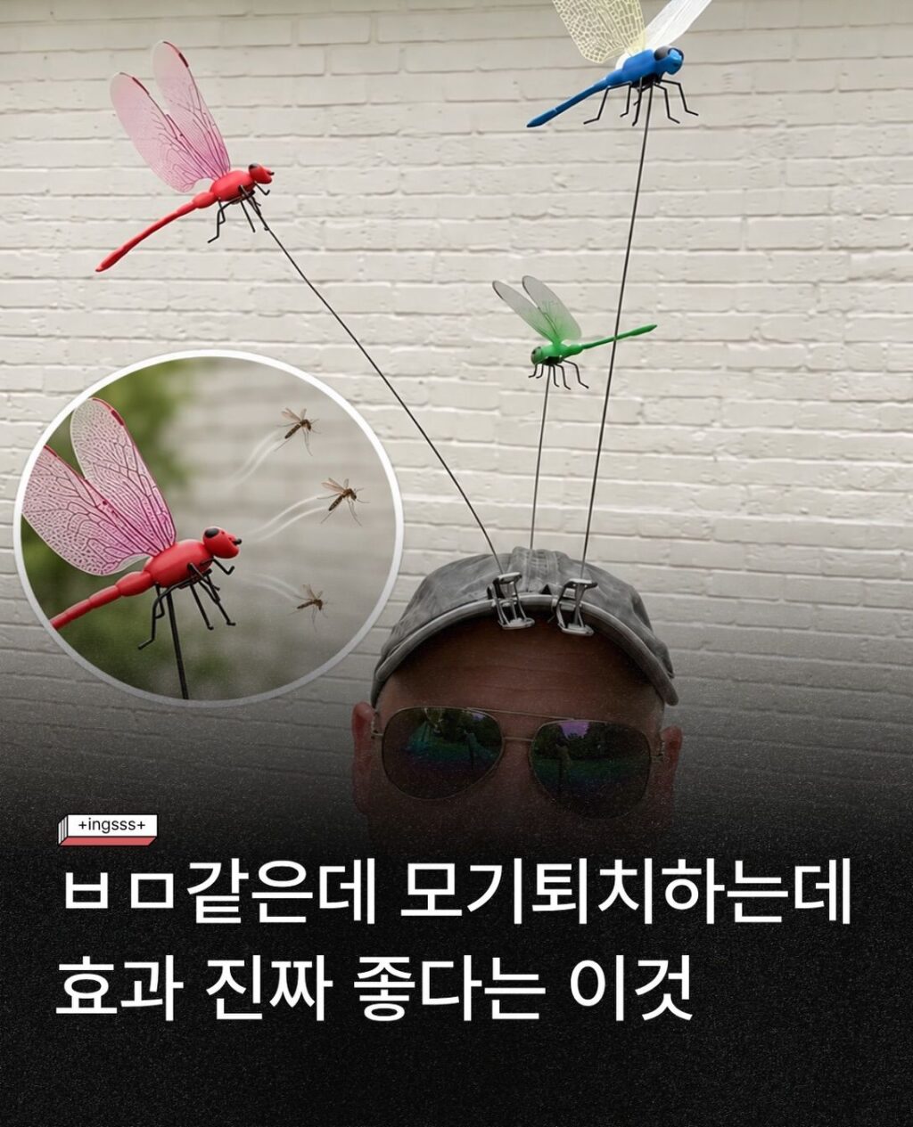 모기 퇴치에 효과적인 아이템