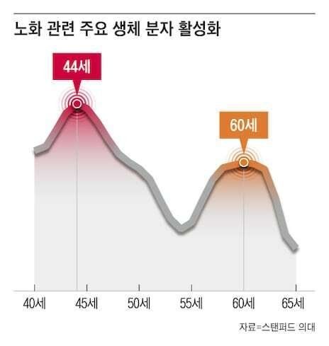 44세부터 급격한 노화, 연구로 밝혀져