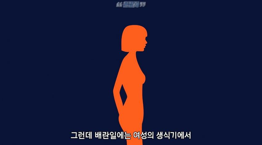 남자들은 잘 모르는 '냉'에 대하여