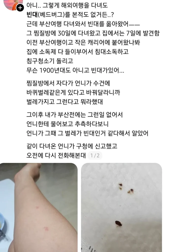약혐. 부산 찜질방 빈대 이슈