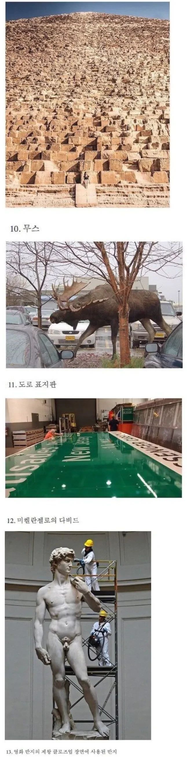 의외로 크기가 엄청 크다는것들