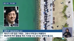상어가 수로에서 안나가는 이유 전문가 의견.jpg