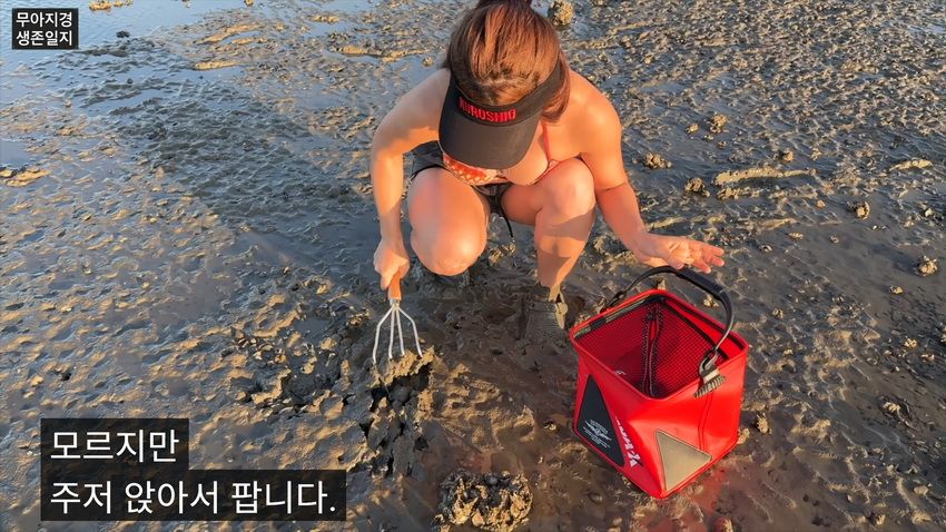 약후] 갯벌에서 식자재 해결하는 여자.jpg