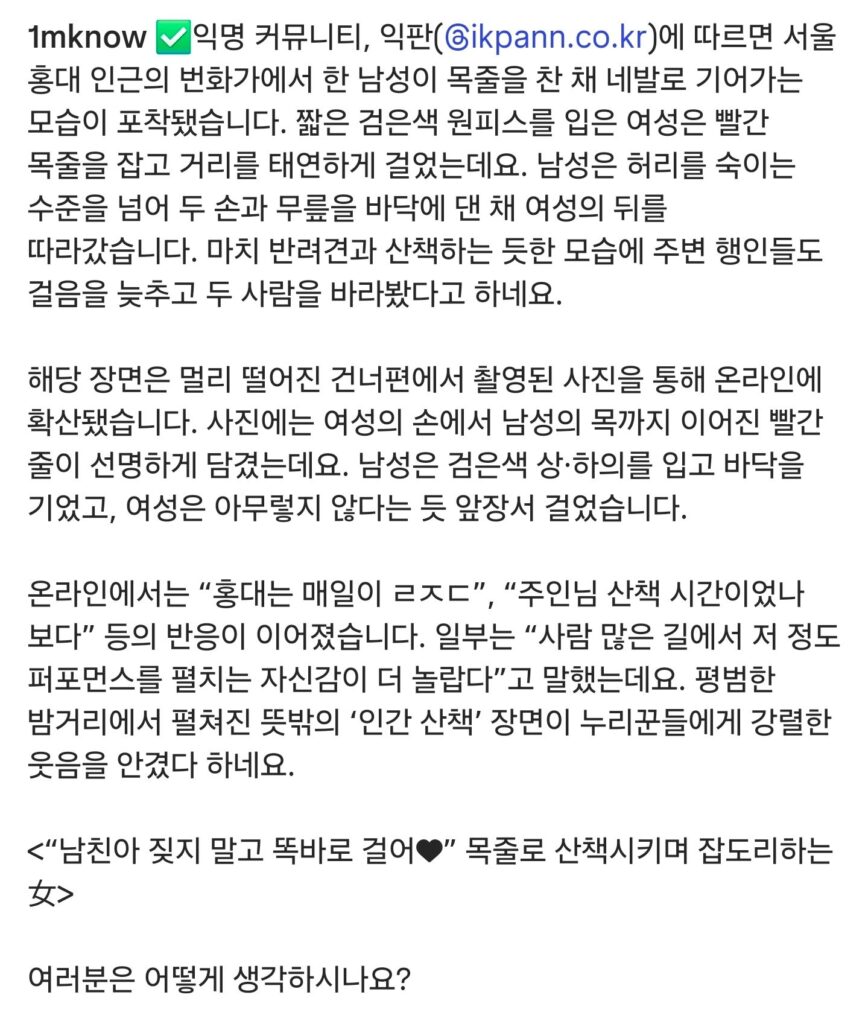 홍대 거리, 목줄을 한 여성 등장 '화제'
