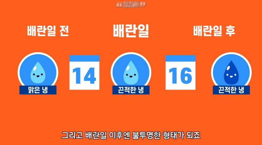 남자들은 잘 모르는 '냉'에 대하여