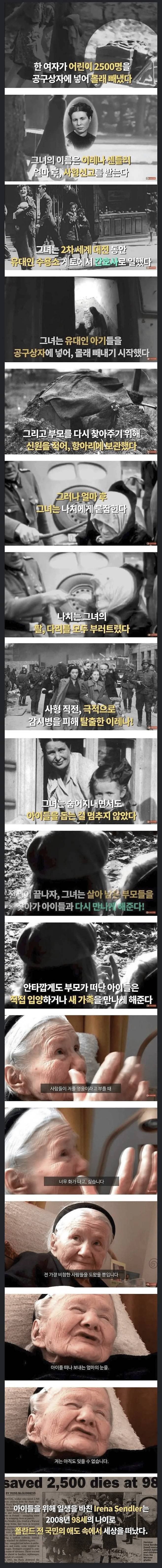 폴란드 간호사, 아기 2500명 납치 사건