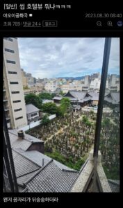 일본 호텔, 황홀한 풍경