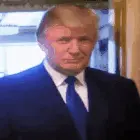 진짜 정신 나갈것같은 백악관 근황.news