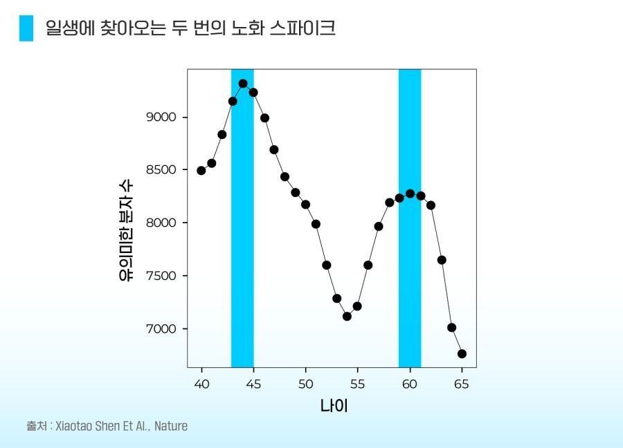 44세부터 급격한 노화, 연구로 밝혀져