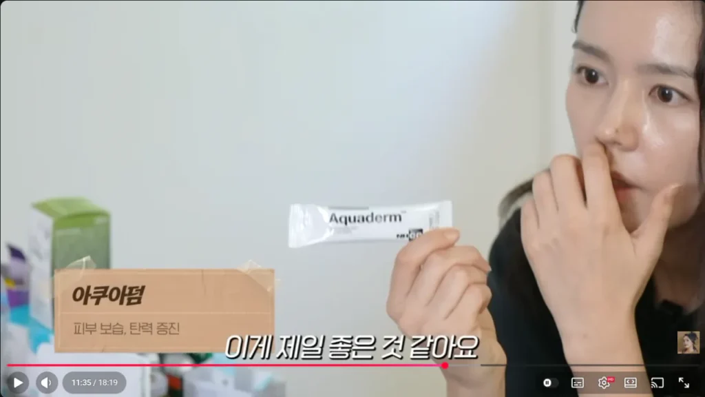 사망여우가 저격한 한가인 내돈내산영상정리