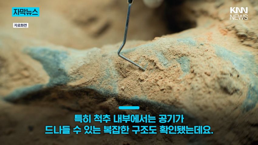 1억 년 전 초대형 공룡 뼈, 공사 현장에서 발견돼.