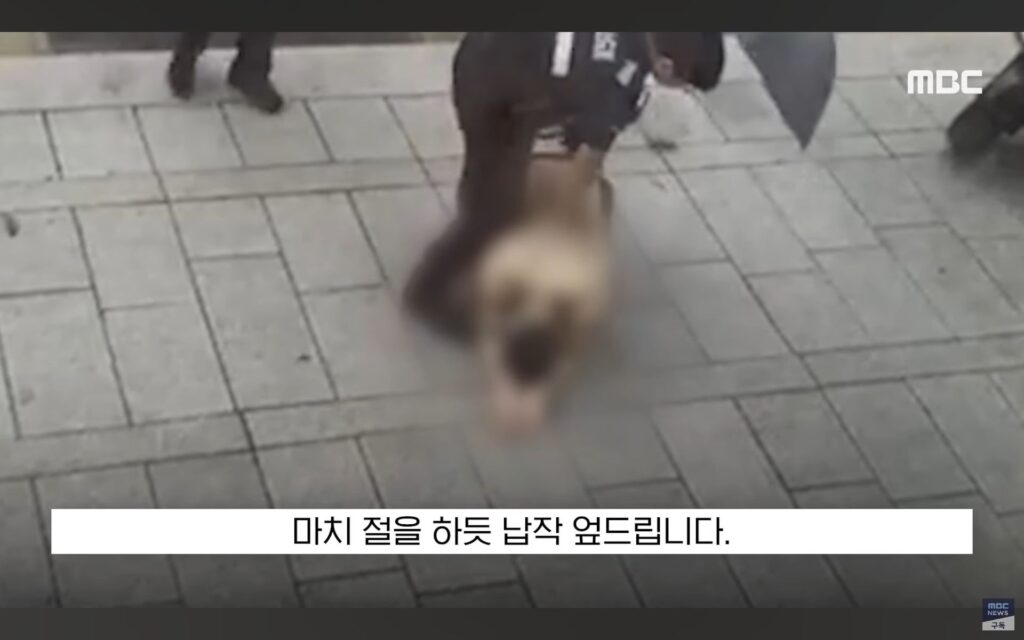 비 오는 날, 비를 피하려던 한심한 경찰