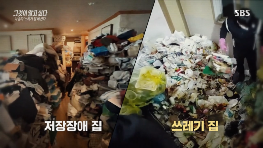 요즘2,30대 사이 진짜 심각한 사화문제라는 현상