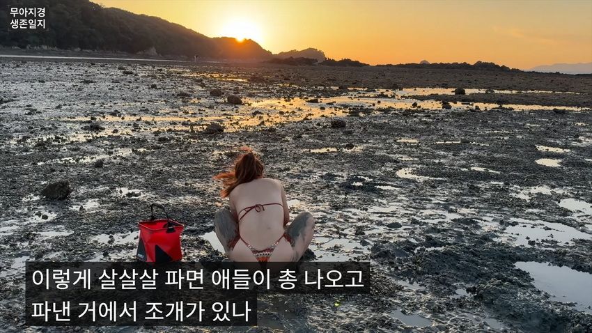 약후] 갯벌에서 식자재 해결하는 여자.jpg