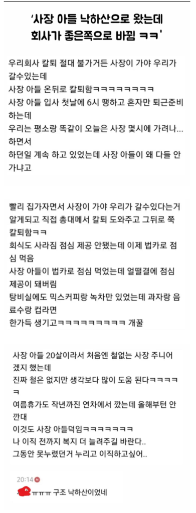 20대 사장 아들이 낙하산으로 왔다.jpg