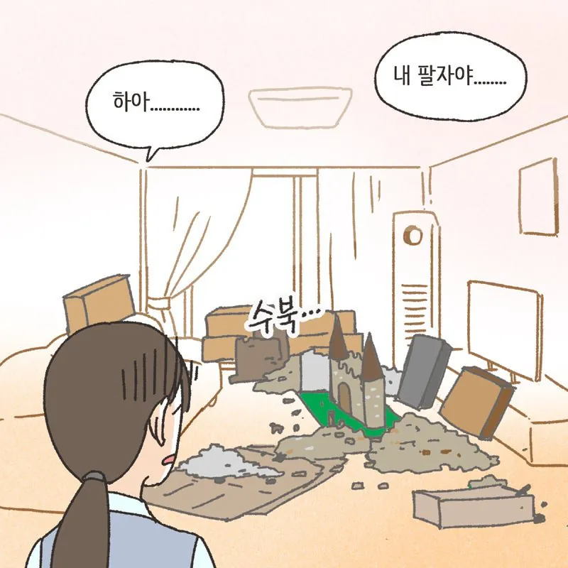 레고에 전재산 절반을 쏟아부은 남성