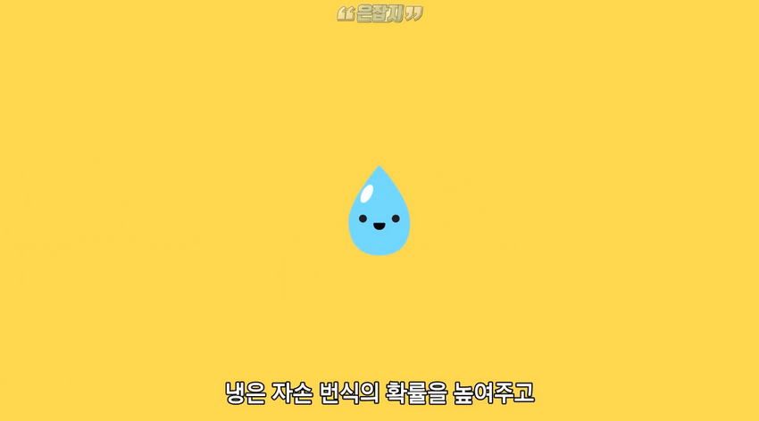 남자들은 잘 모르는 '냉'에 대하여