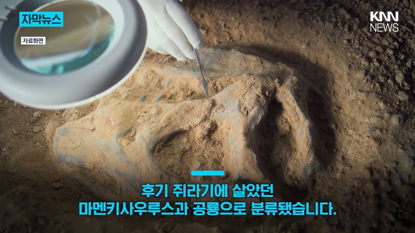 1억 년 전 초대형 공룡 뼈, 공사 현장에서 발견돼.