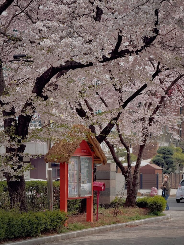 일산 이사 후 이국적인 동네 풍경에 해외여행 욕구를 잃은 사연