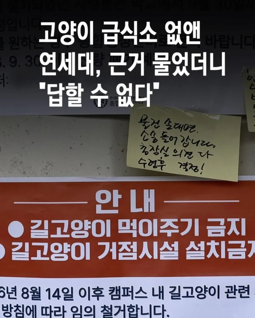 Y대에서 길고양이 급식소 없애자 캣맘측 반발.jpg