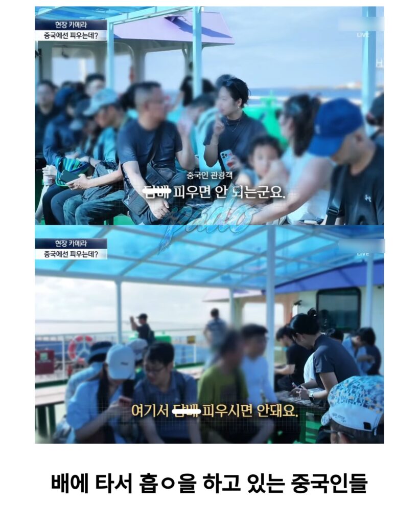 우도까지 진출한 짱개바퀴벌레, 제주도 점령