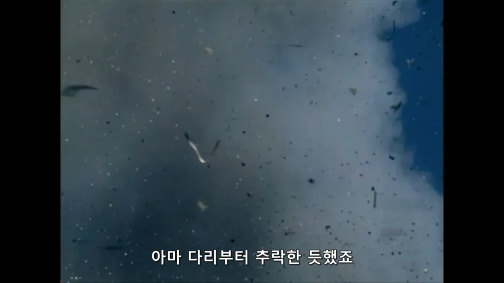 9.11 테러 당시 환자 분류 담당자가 겪은 PTSD.jpg
