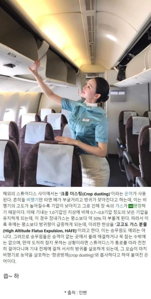 스튜어디스 방구 낄때