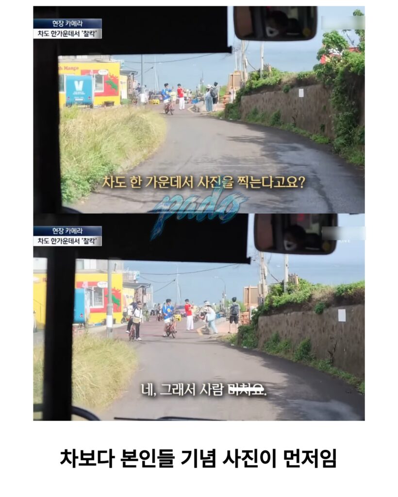 우도까지 진출한 짱개바퀴벌레, 제주도 점령