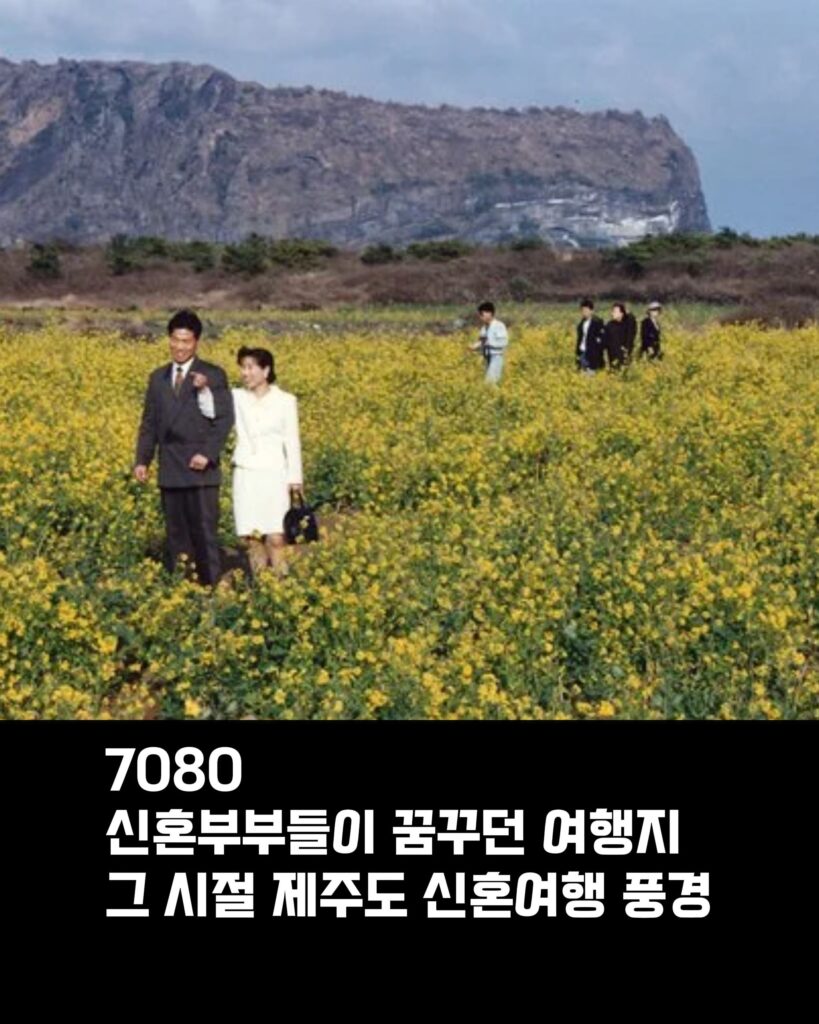 70-80년대 제주도 신혼여행 모습
