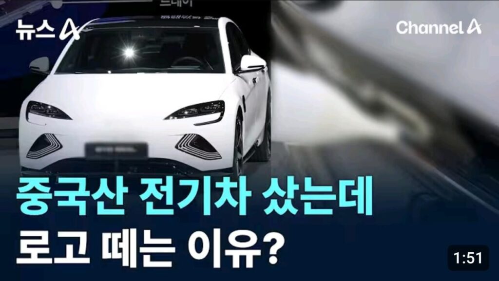 중국산 전기차 오너들의 요즘 모습