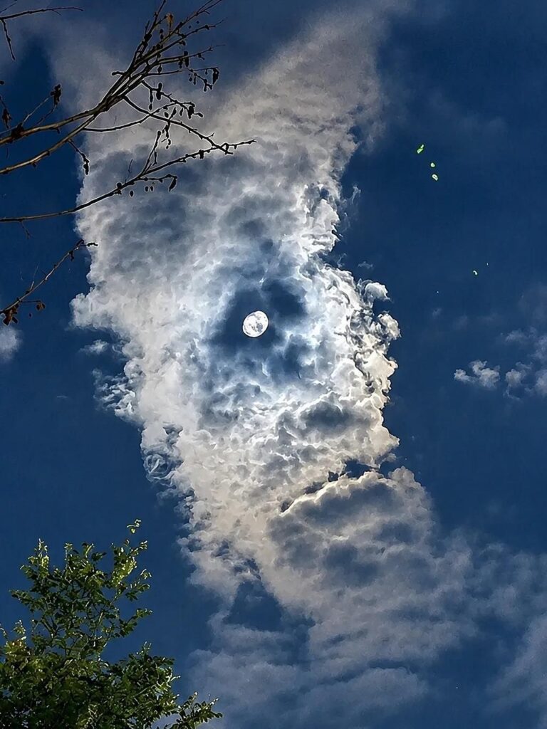 [펌] 새벽 운동 중 느껴지는 시선에 깜짝 놀랐습니다