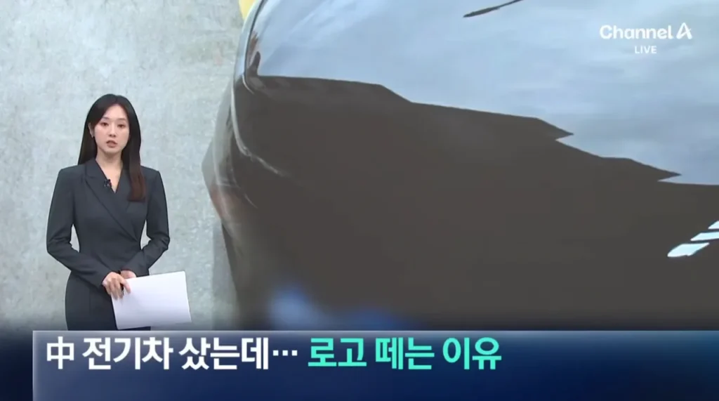 중국산 전기차 구매한 차주들이 하는것