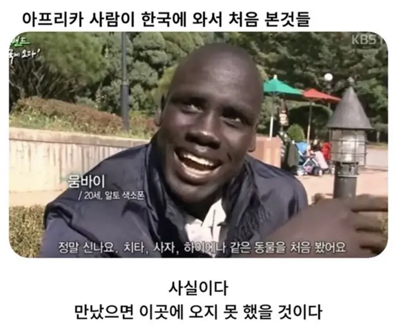 아프리카인이 한국 방문 후 처음 본 광경들