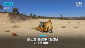 1억 년 전 초대형 공룡 뼈, 공사 현장에서 발견돼.