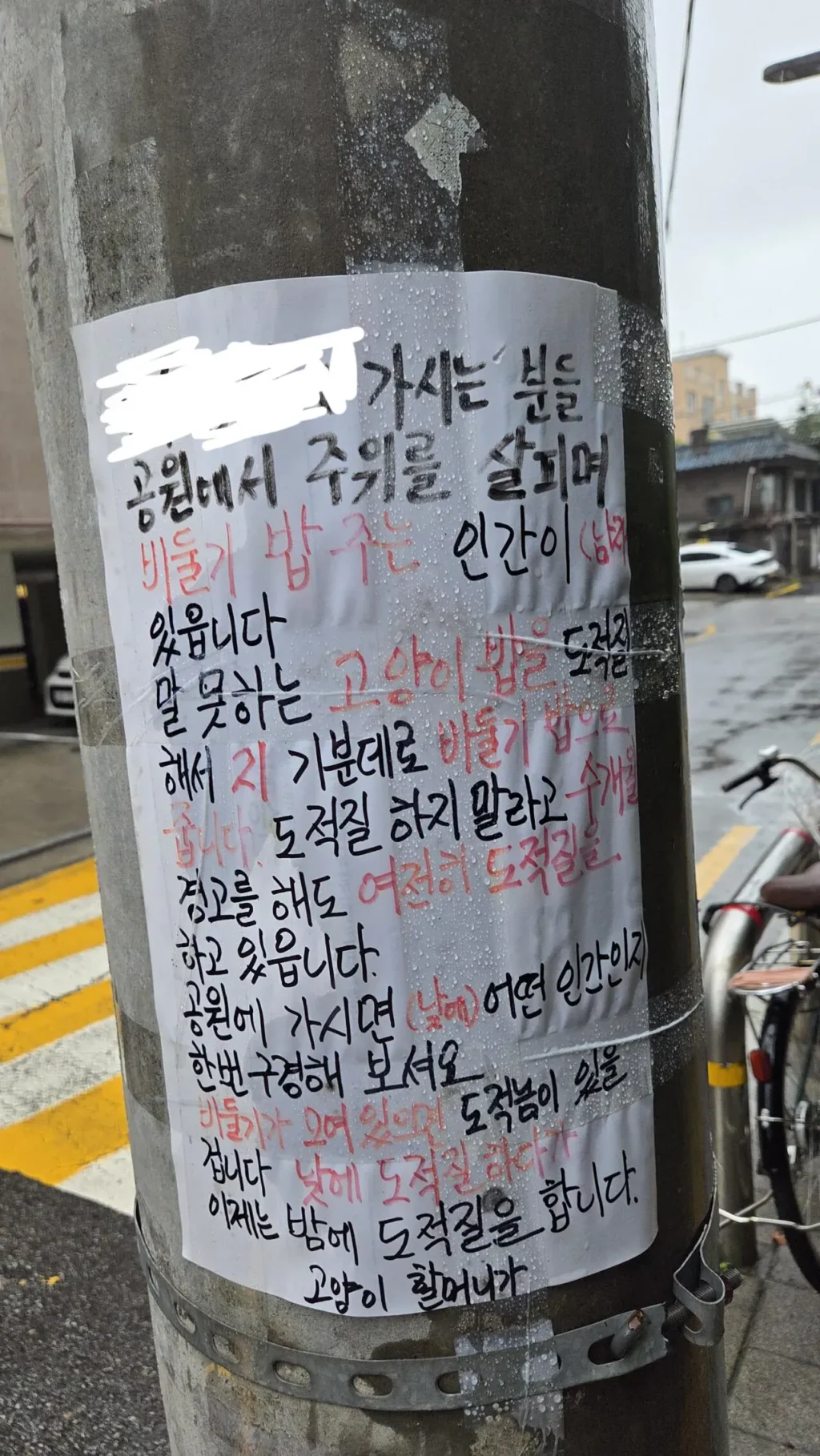 비둘기맘과 전쟁 선포한 캣맘
