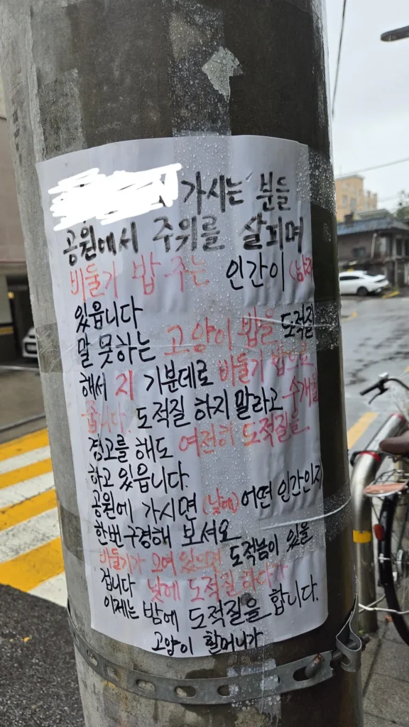 비둘기맘과 전쟁 선포한 캣맘