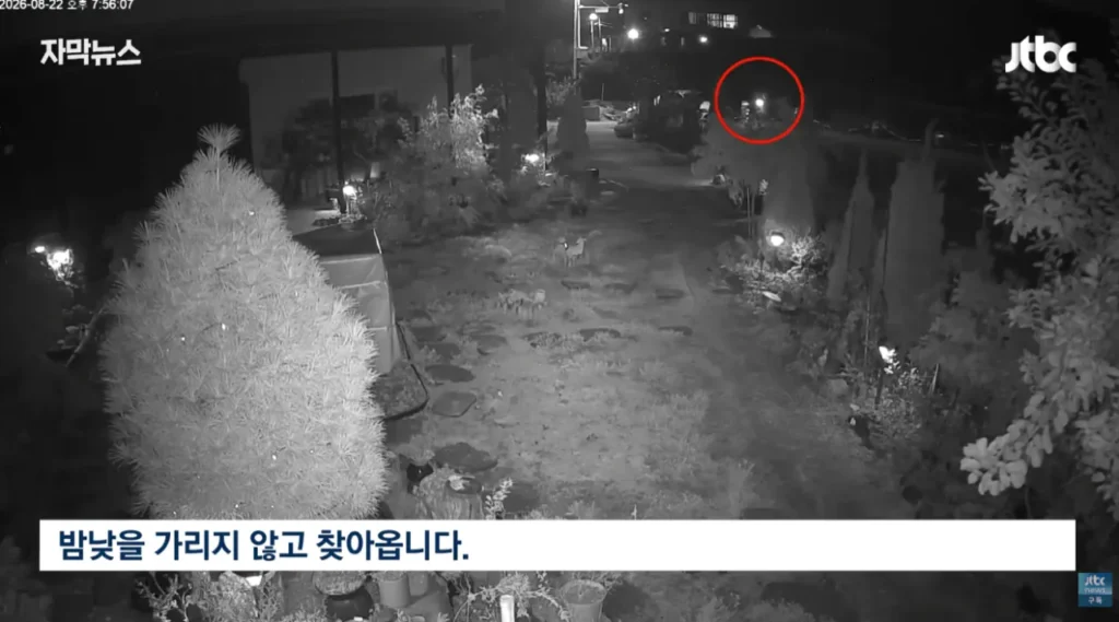 통영 살인사건, 3개월째 미제…유튜버들의 2차 가해 지속