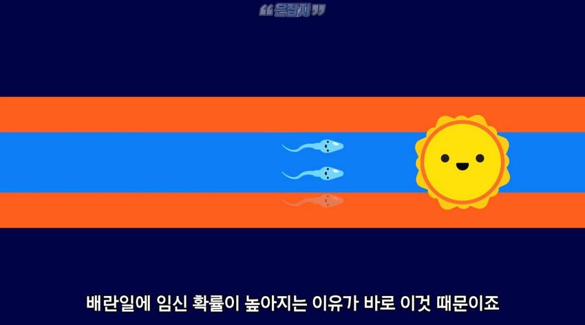남자들은 잘 모르는 '냉'에 대하여